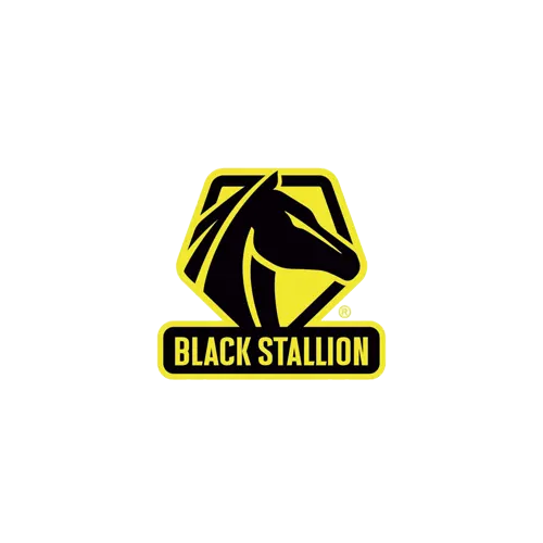 Black-Stallion